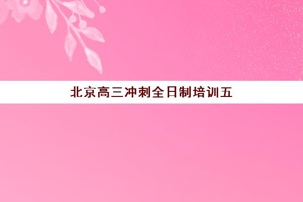 北京高三冲刺全日制培训五大机构技术白皮书如何获取？2025年最新排名与教学体系深度解析