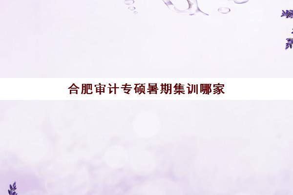 合肥审计专硕暑期集训哪家强？2025年十大机构实力解析与择校指南