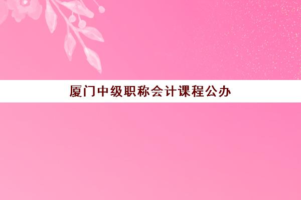 厦门中级职称会计课程公办vs民办服务对比如何选择？2025年教学特色、费用详情与择校全指南