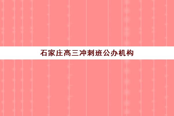 石家庄高三冲刺班公办机构怎么选？三大机构特色对比与择校指南