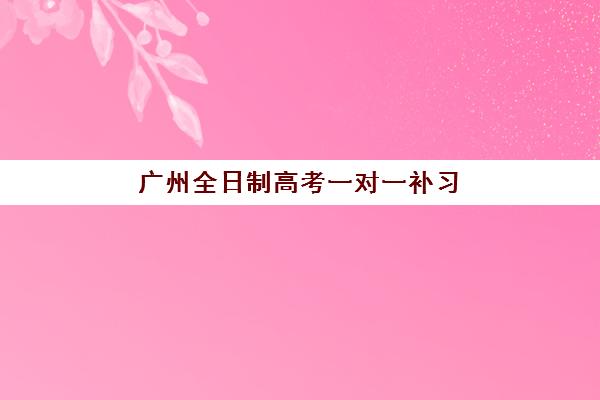 广州全日制高考一对一补习辅导班哪个比较好一点?2025年最新权威排名、择校指南与成功案例全解析 广州全日制高考一对一补习辅导班哪个比较好一点?2025年最新权威排名、择校指南与成功案例全解析
