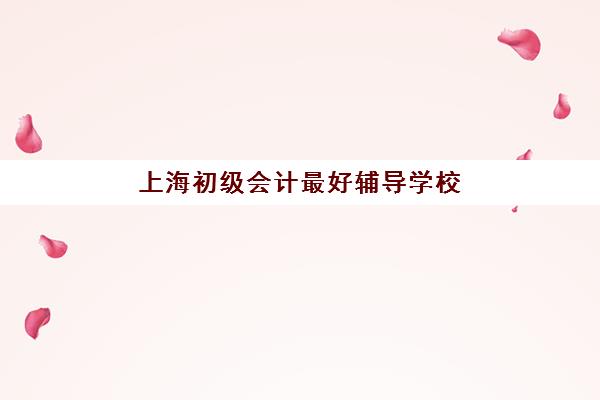 上海初级会计最好辅导学校排名如何查询？2025年权威榜单解析、择校标准与备考全指南