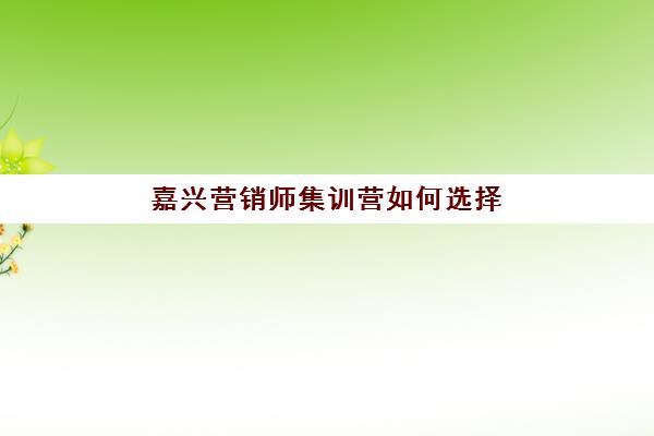 嘉兴营销师集训营如何选择？2025年权威排名与择校指南全解析