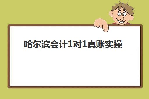 哈尔滨会计1对1真账实操速成系列课程辅导机构哪家强些啊？2025年最新排名、课程特色与择校指南全解析