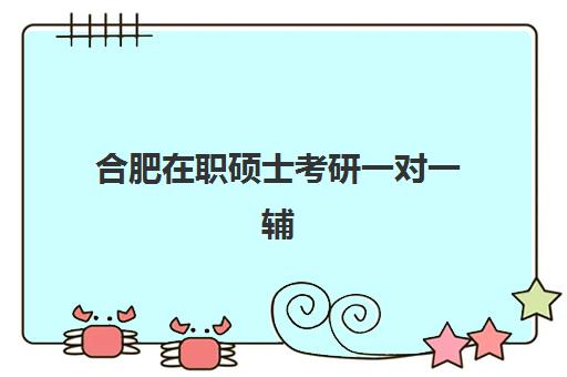 合肥在职硕士考研一对一辅导补习集训营排名一览表最新如何查询？2025年权威榜单与科学择校指南