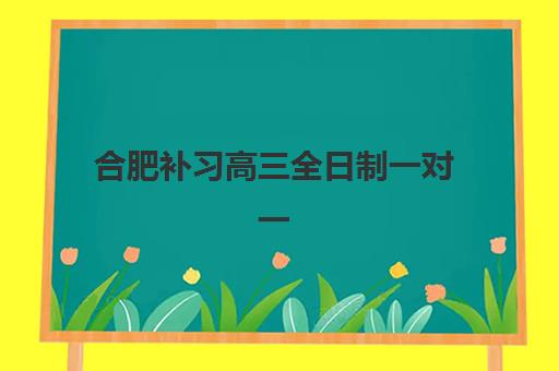 合肥补习高三全日制一对一培训班哪家好多少钱？2025年最新价格表、TOP5机构对比与科学择校全指南