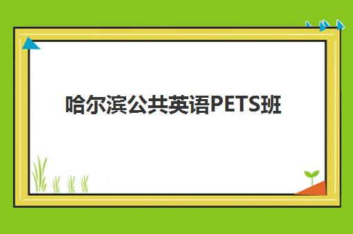 哈尔滨公共英语PETS班培训机构哪家好?2025年十大机构排名与选择指南 哈尔滨公共英语PETS班培训机构哪家好?2025年十大机构排名与选择指南